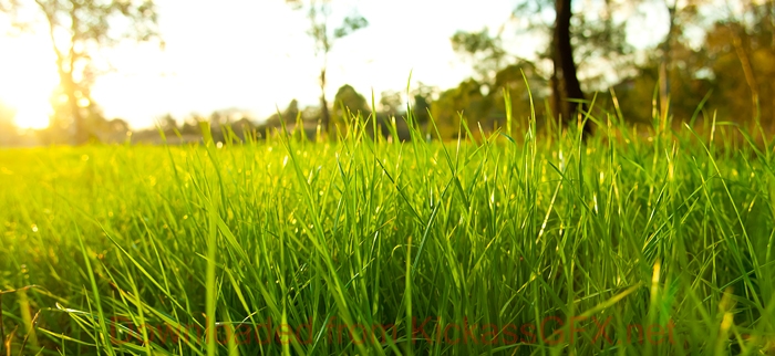 在线短信网页版免费版